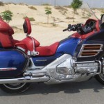 Goldwing (Purple) - 750 AED